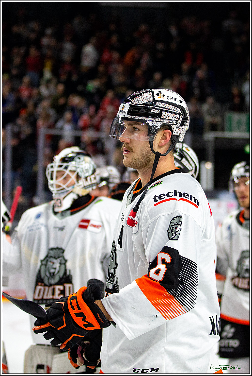 PENNY DEL; Koelner Haie- Loewen Frankfurt; Koeln, 18.12.2022